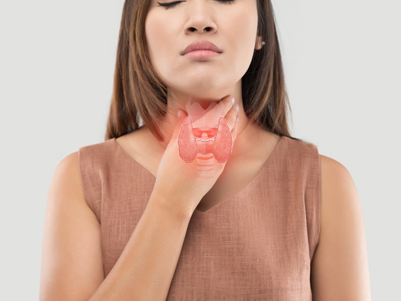 Нормы щитовидной железы у мужчин и женщин на УЗИ